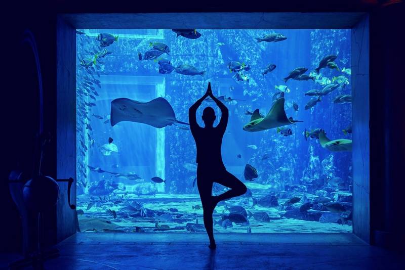 Underwater Yoga at the aquarium