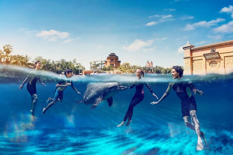 Guests swimming with dolphins at Dolphin Bay