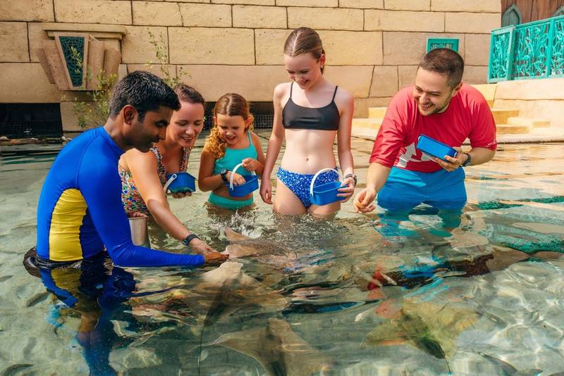 Family hand-feeding rays