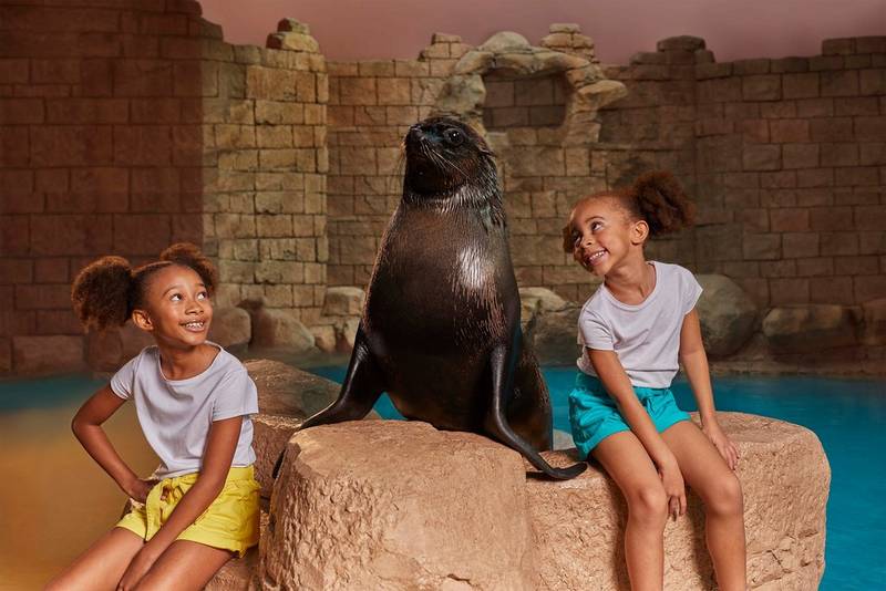 Kids meeting a sea lion