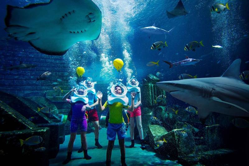 Kids surrounded by sharks on the Shark Safari